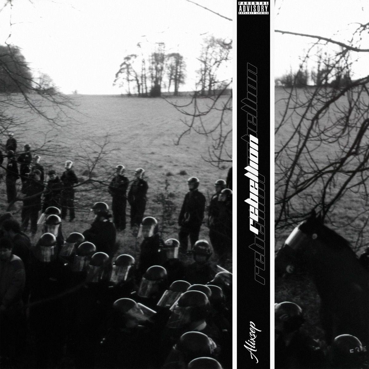 Cover art of Rebellion